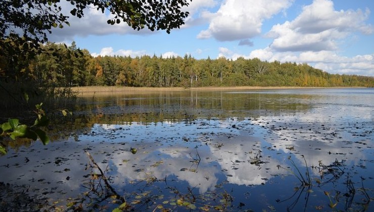 Сегденское озеро расчистят за 1,4 миллиона рублей - «Экология России»