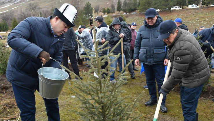 В Кыргызстане сегодня стартовала национальная кампания «Зеленое наследие» - «В мире»