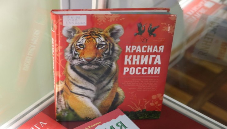 В России обновили том Красной книги животных - «Экология России»