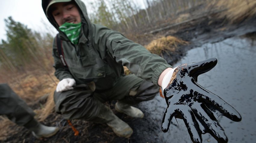 В России нашли способ снизить токсичность загрязненной нефтью почвы - «Экология»