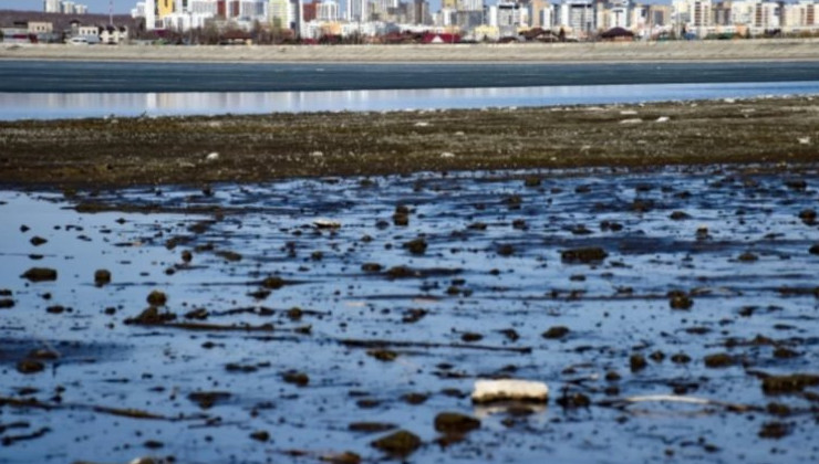 В Челябинской области мелеет и цветёт Шершнёвское водохранилище - «Экология России»