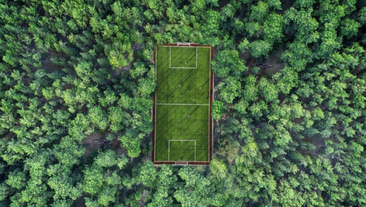 В России проведут первый углеродно-нейтральный матч по футболу - «Экология России»