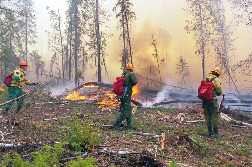 Абрамченко: 90% всех природных пожаров ликвидируют в первые сутки - «Экология»