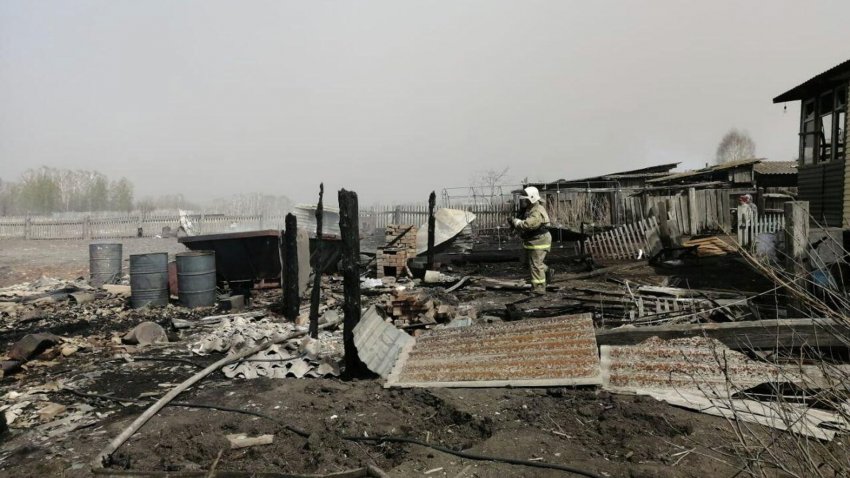 Чуприян осмотрел пострадавшие от пожаров территории Красноярского края - «Экология»