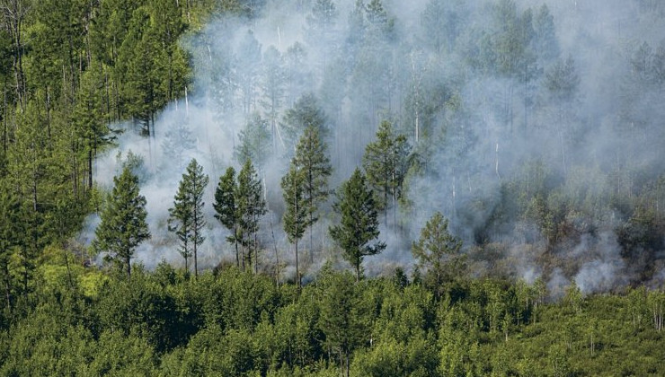 Воздух в зоне природных пожаров соответствует гигиеническим требованиям - «Экология России»