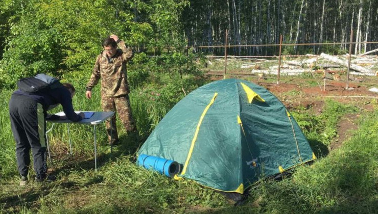 Челябинские активисты привлекли имя президента для защиты леса на Тополинке - «Экология России»