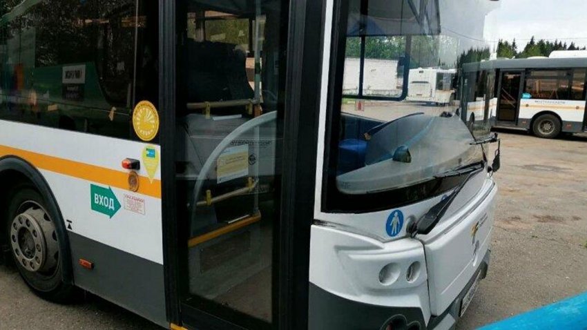 Автобусы на Ямале обновляются по плану, несмотря на сложности в экономике - «Экология»