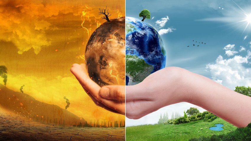 Дежурные по планете: отмечаем День эколога - «Экология»