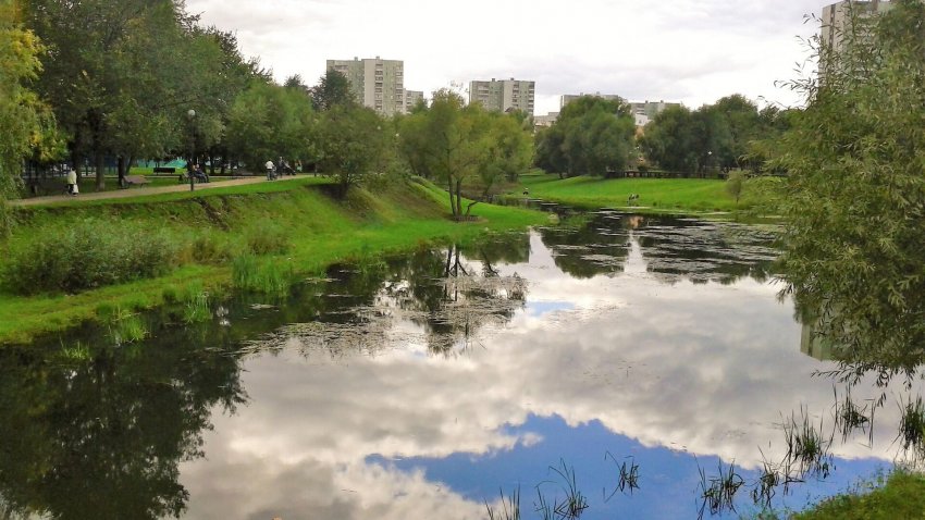 "Мосводосток" после сообщений о белой пене на Чермянке не нашел загрязнений - «Экология»