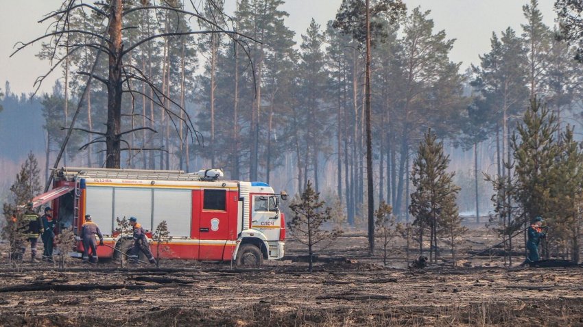 В Якутии сгорели более 800 гектаров леса - «Экология»
