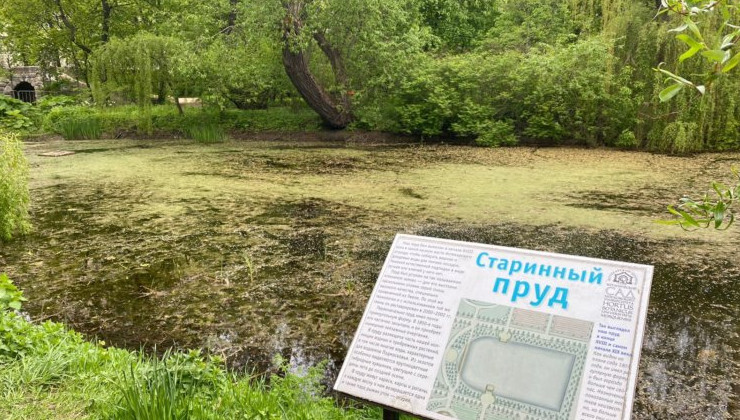 Пруды в Москве станут чище - «Экология России»