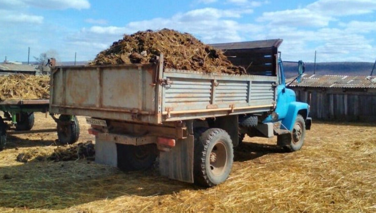 Российские экологи выступают против бесконтрольного вывоза навоза - «Экология России»