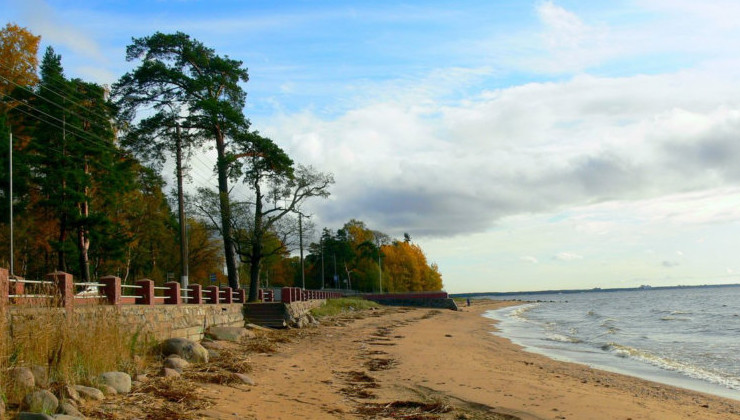 Петербургские пляжи не прошли экопроверку - «Экология России»