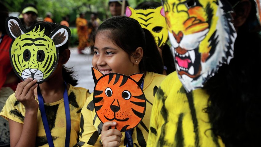 Международный день тигра - «Экология»