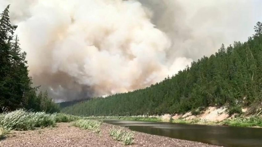 Новых лесных пожаров за прошедшие сутки в Якутии не обнаружено - «Экология»