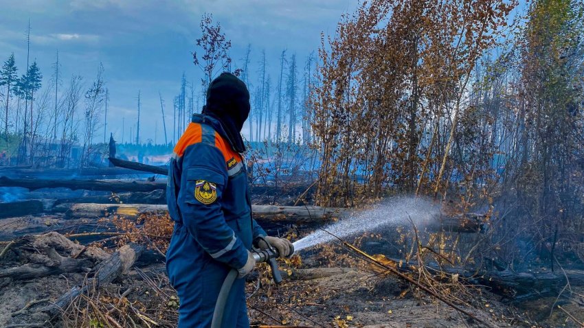 Площадь пожаров в российских заповедниках за год снизилась на 70 процентов - «Экология»