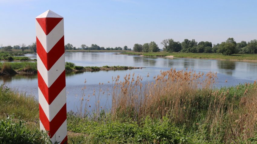 В Польше назвали возможную причину мора рыбы в реке Одра - «Экология»