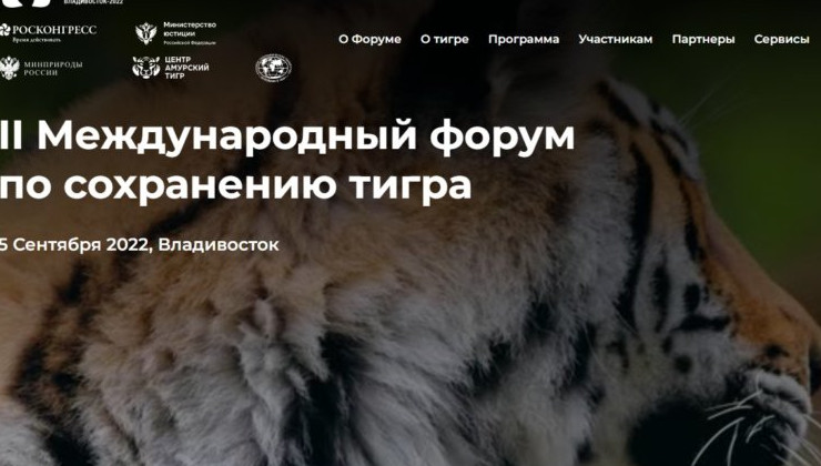В сентябре в России пройдет Тигриный Форум - «Экология России»