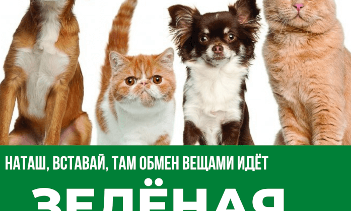 В России состоятся свопы для животных - «Экология России»