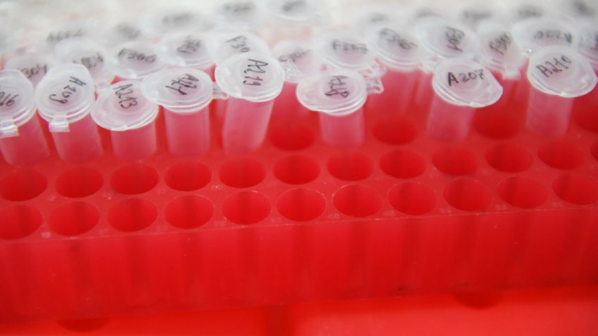 В КФУ повысили точность проверки действия лекарств на раковые клетки - «Экология»