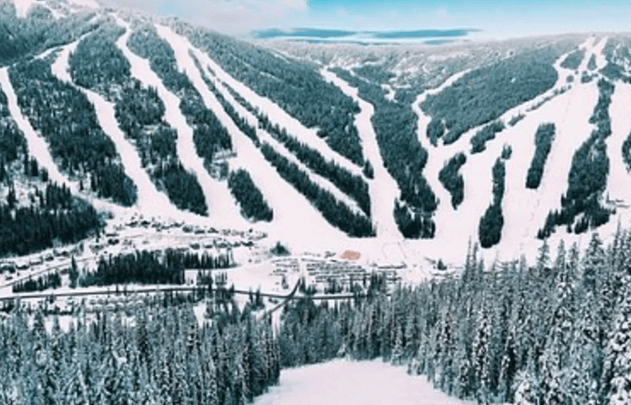 Альпийским горнолыжным курортам грозит закрытие - «В мире»