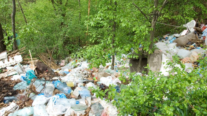 В Подмосковье рассказали о новом способе борьбы с незаконным сбросом мусора - «Экология»