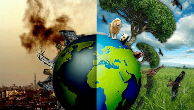 Опрос НАФИ: Большинство россиян ответственность за экологию возлагают на бизнес и государство - «Экология России»