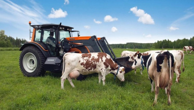 Французские коровы «заправляют» тракторы - «В мире»