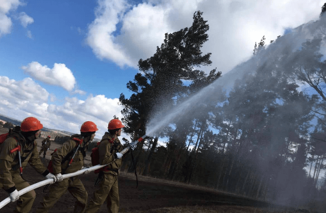 Охрана лесов от пожаров обойдётся Иркутской области почти в 2 миллиарда рублей - «Экология России»
