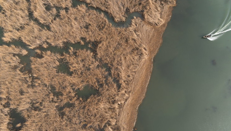 Проект по восстановлению экосистемы Аграханского залива готовят в Дагестане - «Экология России»