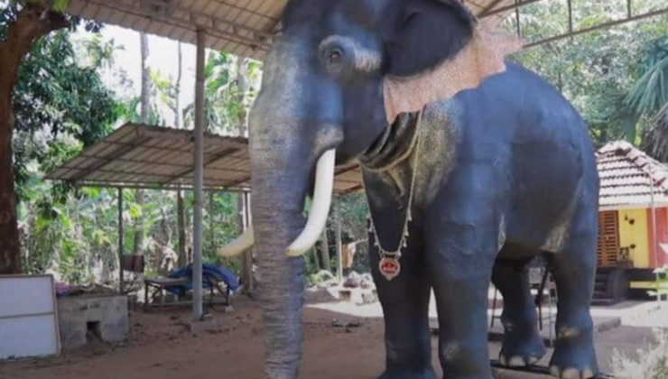 В индийском храме живого слона заменили на робота - «В мире»