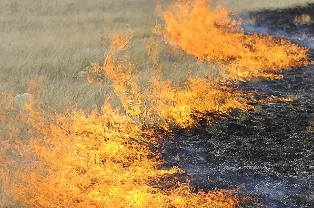 В трех регионах России открыт пожароопасный сезон - «Экология России»
