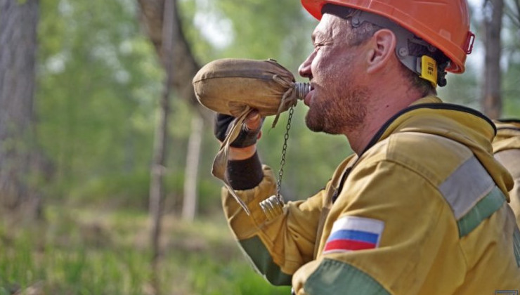 Почти 300 лесными пожарными усилят 4 региона - «Экология России»