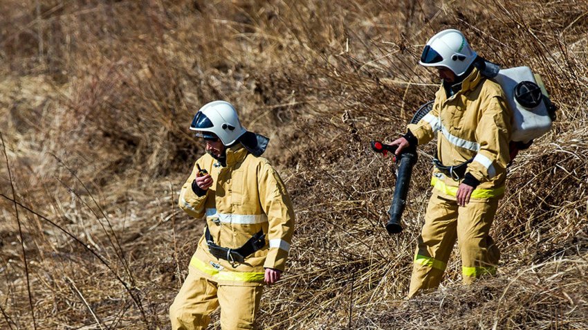 Архангельские лесопожарные помогут уральским коллегам бороться с огнем - «Экология»