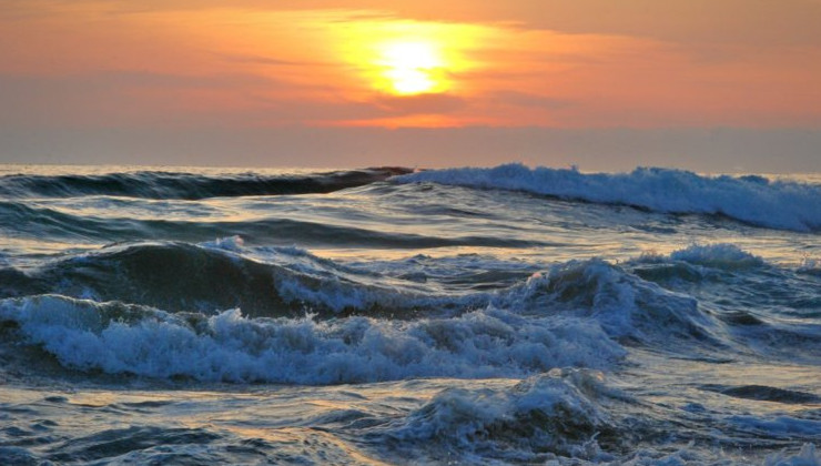 Мировой океан в мае побил температурные рекорды - «В мире»