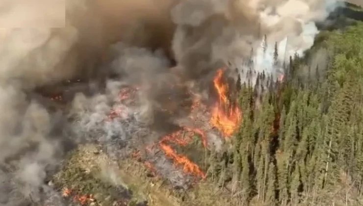Более 10 миллионов га уничтожили лесные пожары в Канаде в 2023 году - «В мире»