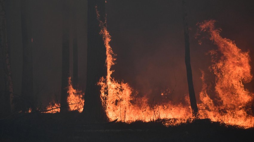 В районах Якутии сильные грозы вызвали новые лесные пожары - «Экология»