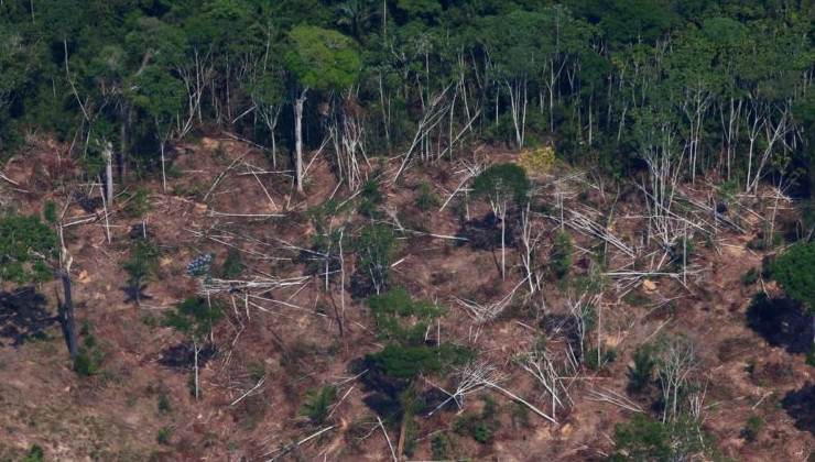 Обезлесение в Амазонии приводит к колоссальным выбросам CO2 - «В мире»