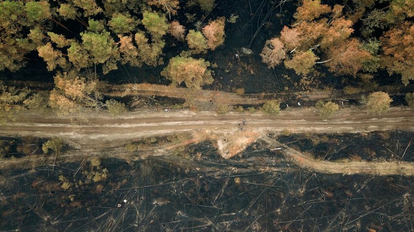 Риск возникновения лесных пожаров вырос на Дальнем Востоке и в Сибири - «Экология»