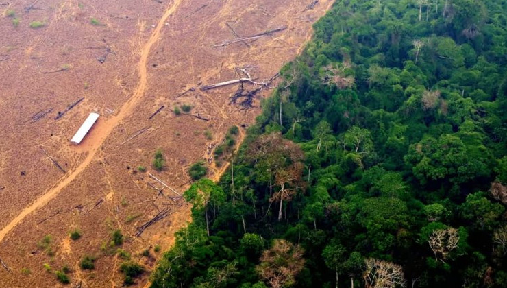 В бразильской Амазонии значительно сократились вырубки лесов - «В мире»