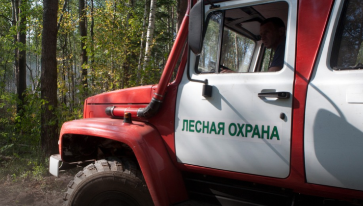 Рослесхоз: На сегодня в России действует 10 природных пожаров - «Экология России»