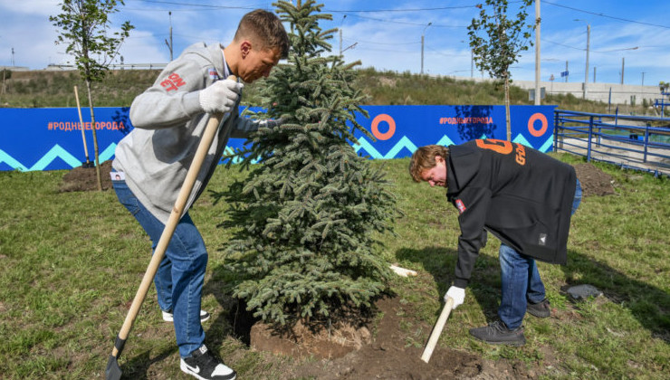 Территорию омского «Авангарда» украсили более 80 новых деревьев - «Зеленая Экономика»