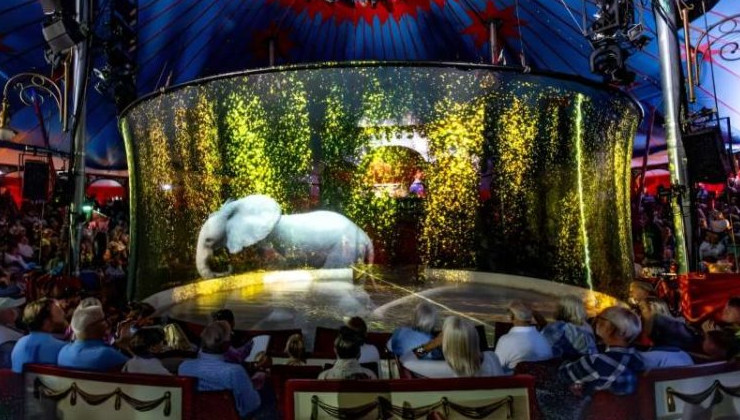 Уже 5 лет голографические животные выходят на арену немецкого цирка - «В мире»