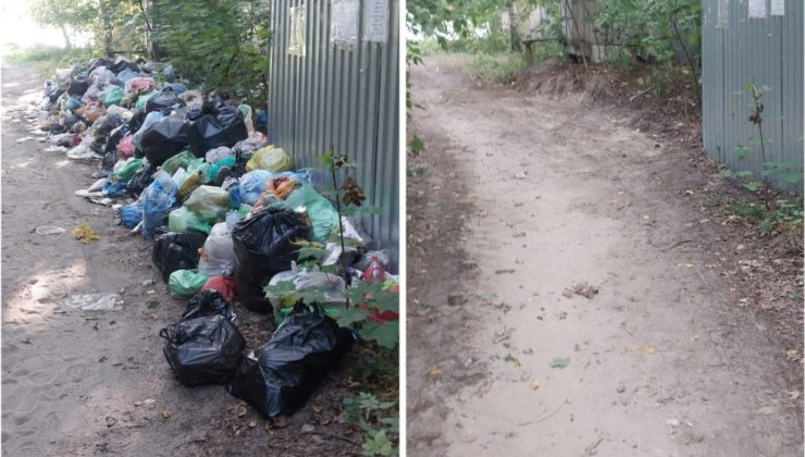 В Ульяновской области от мусора очистили лес у Белого озера - «Экология России»