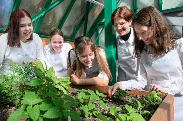 В Омске возродили школьные теплицы - «Зеленая Экономика»