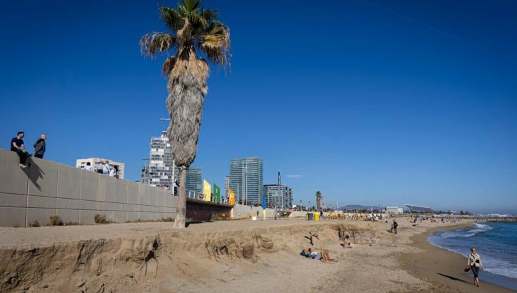 Дирекция пляжей Барселоны: Нам нужен песок - «В мире»