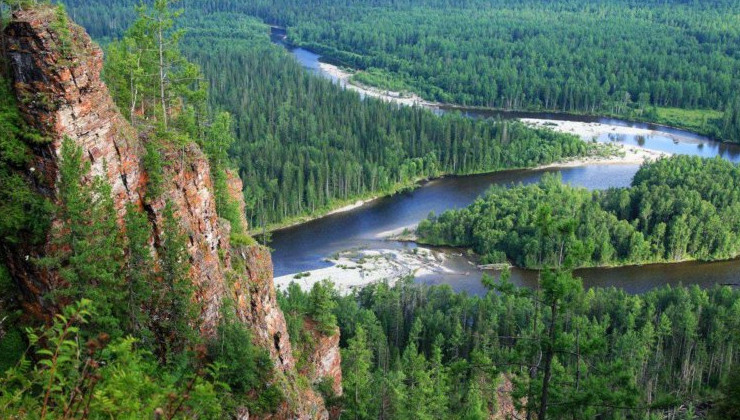 Объём лесовосстановления превысил прошлогодний показатель на 47% - «Экология России»