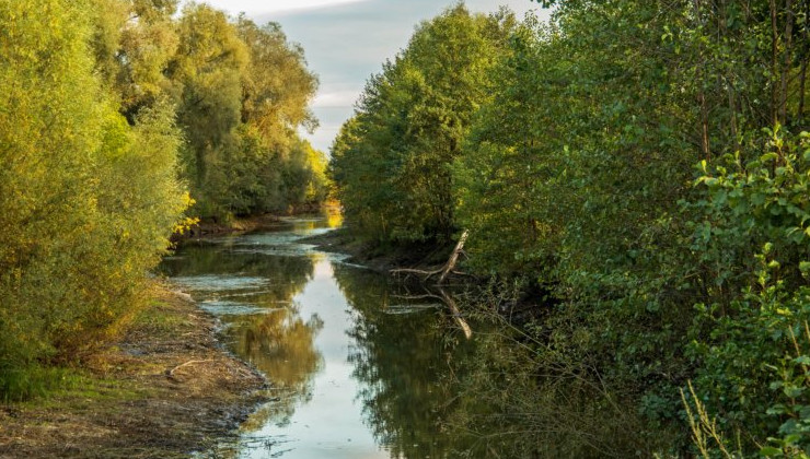 Татарстанскую деревню защитят от паводковых вод реки Сумки - «Экология России»
