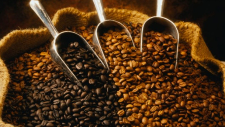 В Европе могут уничтожить сотни тысяч тонн кофе и какао - «В мире»