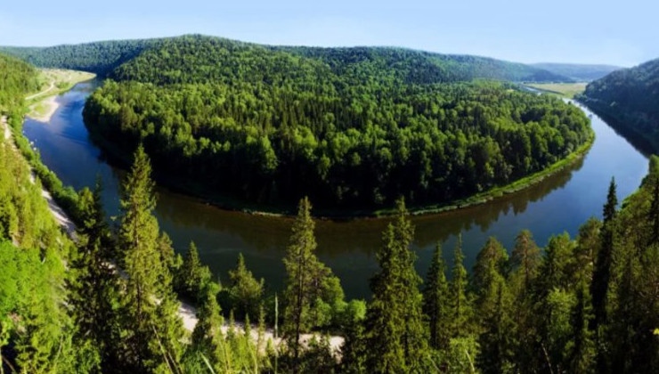 На лесовосстановление Башкортостана в 2023 году ушло 118 миллионов рублей - «Экология России»